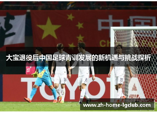 大宝退役后中国足球青训发展的新机遇与挑战探析