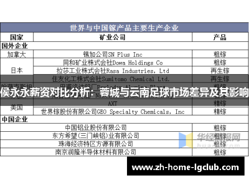 侯永永薪资对比分析：蓉城与云南足球市场差异及其影响