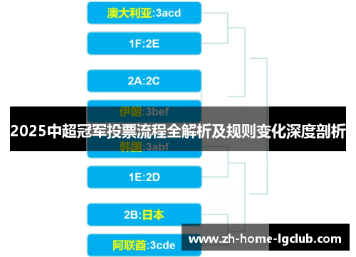 2025中超冠军投票流程全解析及规则变化深度剖析
