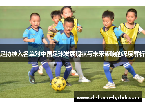 足协准入名单对中国足球发展现状与未来影响的深度解析