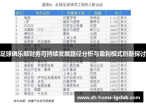 足球俱乐部财务可持续发展路径分析与盈利模式创新探讨