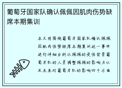 葡萄牙国家队确认佩佩因肌肉伤势缺席本期集训